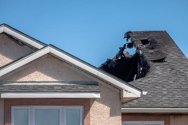 Top rated local Fire Damage Removal specialists in Mount Royal, NJ